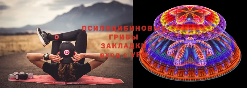 Псилоцибиновые грибы MAGIC MUSHROOMS  omg ссылки  Еманжелинск 